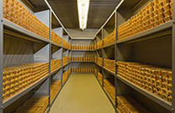 У вересні збільшились міжнародні резерви У вересні збільшились міжнародні резерви