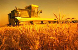 Нові можливості агрострахування Нові можливості агрострахування