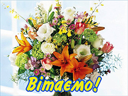 Щиро вітаємо колектив НАКСУ зі святом! Щиро вітаємо колектив НАКСУ зі святом!